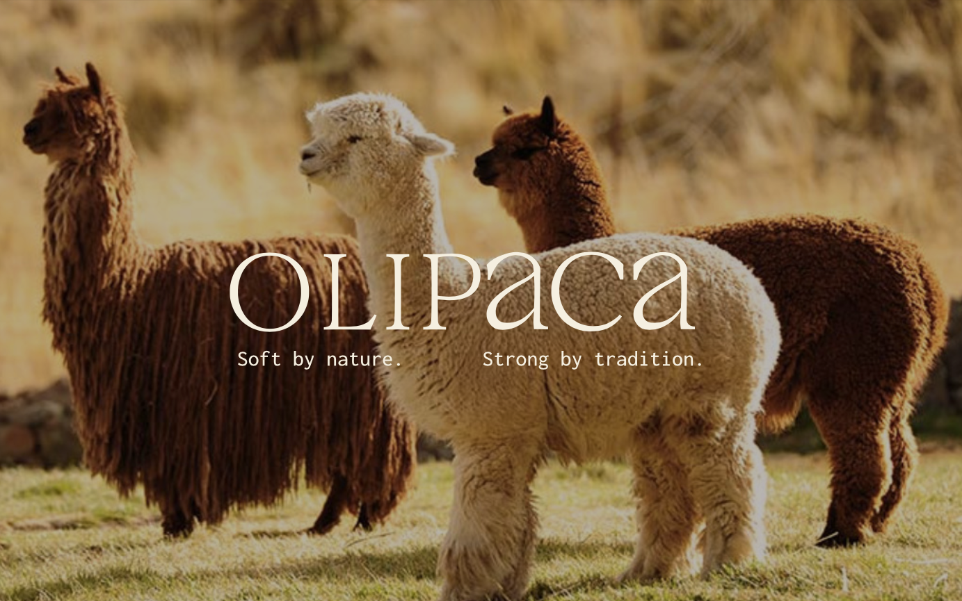 Three alpacas standing together with 'OLIPACA' branding and tagline.